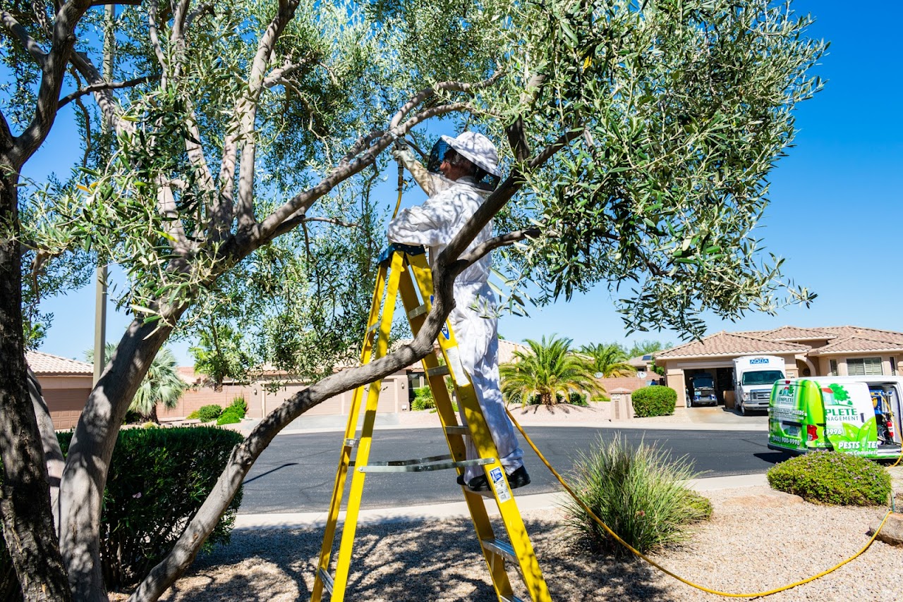 Complete Pest Management project