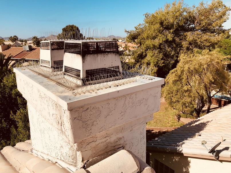 Complete Pest Management project